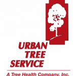 Common Services THAT YOU COULD Obtain From the Tree Service