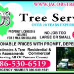 Tree Service – our passion lies in your trees