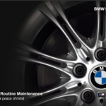 BMW the Masters of services