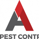 Read this to control pests in your home
