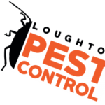What You Need to Know About Pest Control Ilford