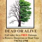 Understanding the Difference Between Tree Pruning and Tree Removal