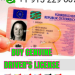 Everything You Need to Know about Genuine Driving Licenses